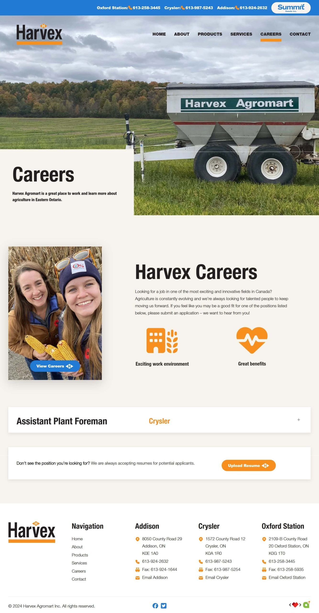 Hoegys Seed Page Screenshot